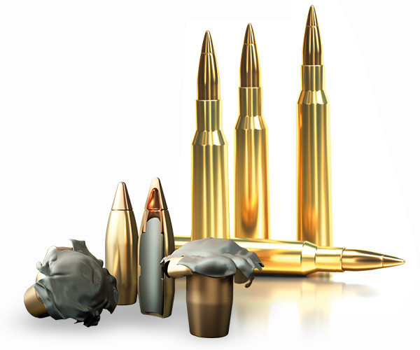 Náboje 8x57 JS Sellier & Bellot HPC - 196 grs č.2